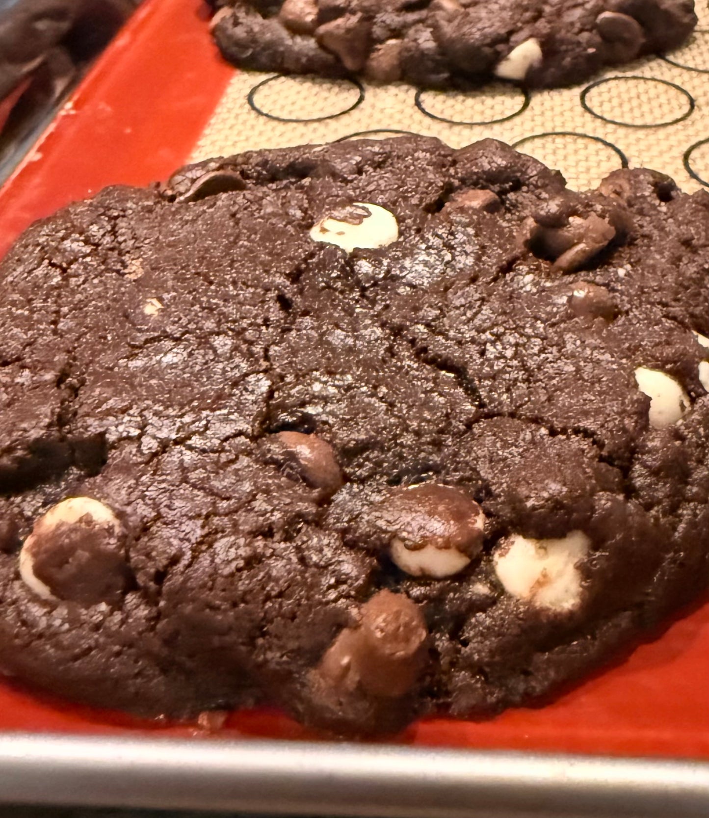 Batchery Box- Minimum 6 ct